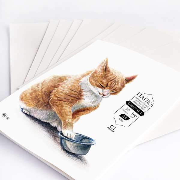 Изображение товара Набор бумаги для рисования Малевичъ GrafArt / 402320 (30л)