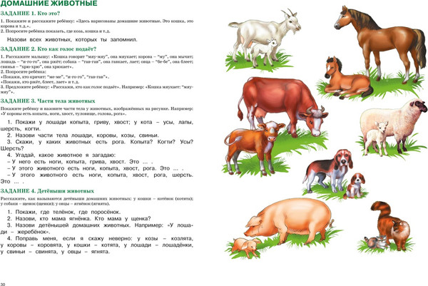 Изображение товара Развивающая книга Махаон Развитие речи. Уроки с логопедом, твердая обложка (Косинова Елена)