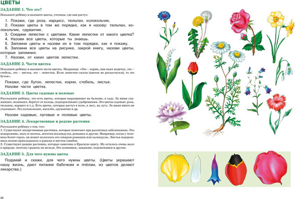 Изображение товара Развивающая книга Махаон Развитие речи. Уроки с логопедом, твердая обложка (Косинова Елена)