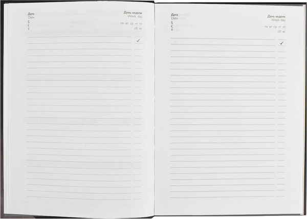 Изображение товара Ежедневник Феникс+ Diary Леди / 64335