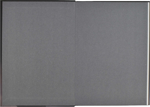 Изображение товара Ежедневник Феникс+ Diary Леди / 64335