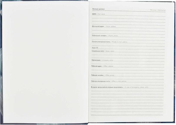 Изображение товара Ежедневник Феникс+ Diary Синие Полотна / 64338