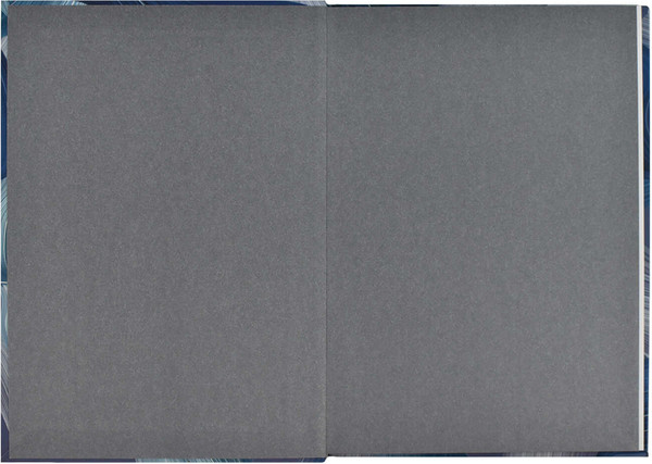 Изображение товара Ежедневник Феникс+ Diary Синие Полотна / 64338