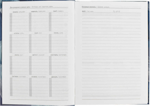 Изображение товара Ежедневник Феникс+ Diary Синие Полотна / 64338