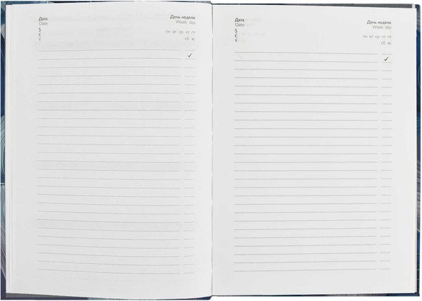 Изображение товара Ежедневник Феникс+ Diary Синие Полотна / 64338
