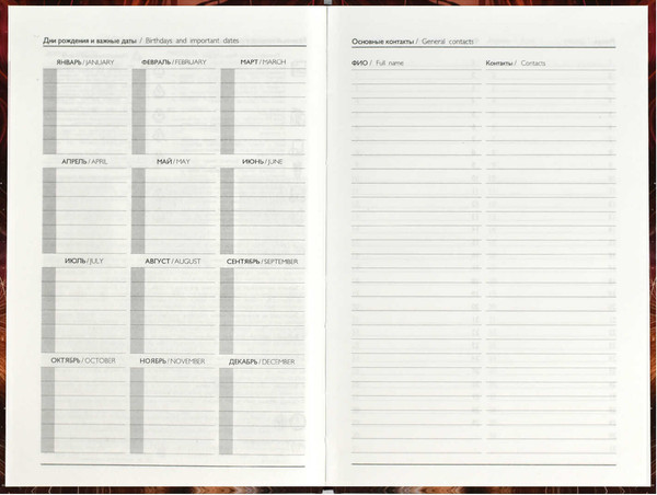 Изображение товара Ежедневник Феникс+ Diary Девушка С Рыжим Котом / 68059