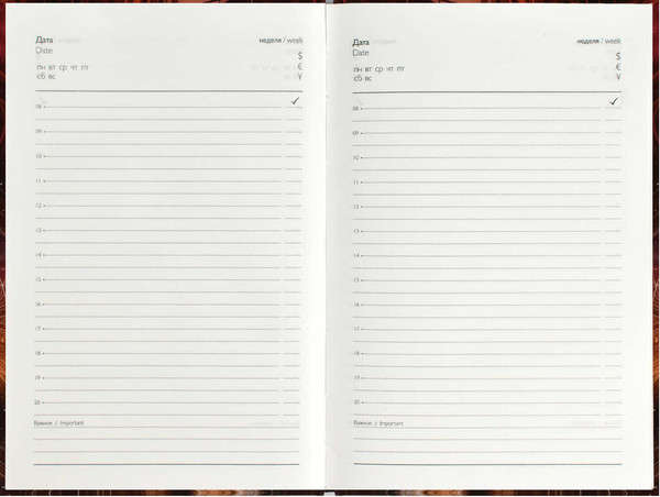 Изображение товара Ежедневник Феникс+ Diary Девушка С Рыжим Котом / 68059