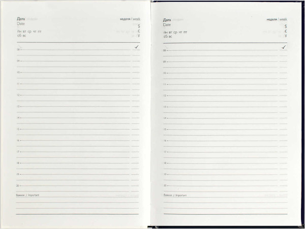 Изображение товара Ежедневник Феникс+ Diary Изящество / 68060