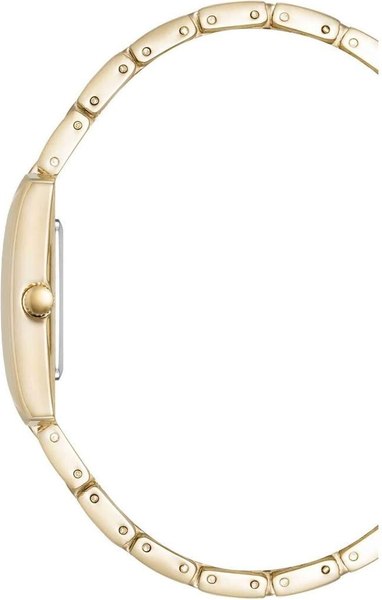 Изображение товара Часы наручные женские Anne Klein AK/5114SVGB