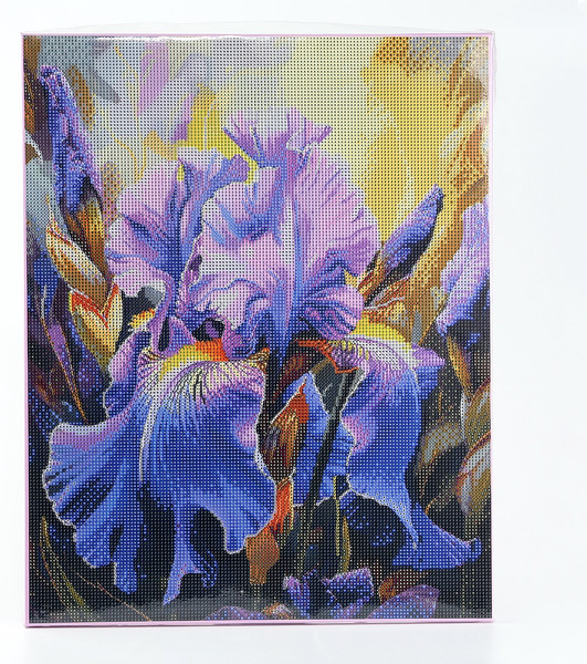 Изображение товара Набор алмазной вышивки Школа талантов Ирисы / 10656172