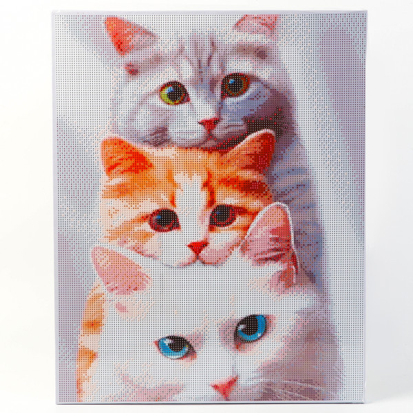 Изображение товара Набор алмазной вышивки Школа талантов Котята / 9929696