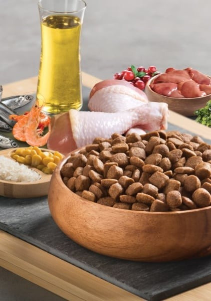 Изображение товара Сухой корм для кошек BonaCibo Для взрослых кошек всех пород курица и рис с анчоусами (15кг)