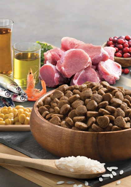 Изображение товара Сухой корм для кошек BonaCibo Для взрослых кошек всех пород ягненок и рис (15кг)