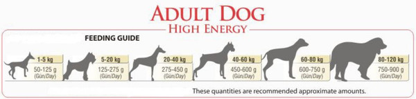 Изображение товара Сухой корм для собак BonaCibo Для активных взрослых собак всех пород курица (15кг)