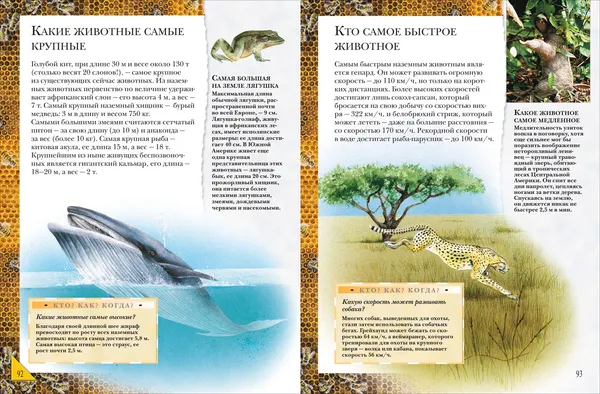 Изображение товара Энциклопедия Росмэн Большая энциклопедия школьника. Книга вопросов и ответов