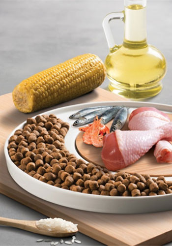 Изображение товара Сухой корм для кошек Micho Premiun Для взрослых кошек всех пород курица (15кг)