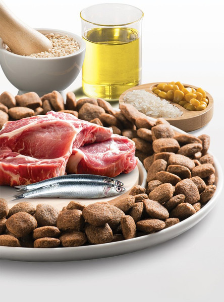 Изображение товара Сухой корм для собак Kucho Premiun Для взрослых собак всех пород ягненок (15кг)