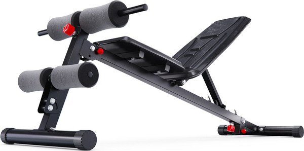 Изображение товара Скамья многофункциональная DFC 309FHDTR5B