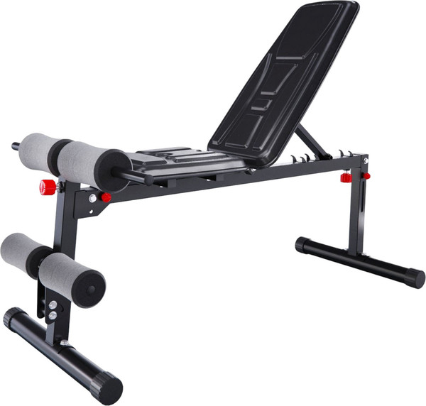 Изображение товара Скамья многофункциональная DFC 309FHDTR5B