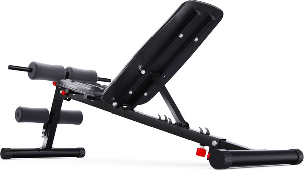 Изображение товара Скамья многофункциональная DFC 309FHDTR5B