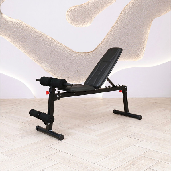 Изображение товара Скамья многофункциональная DFC 309FHDTR5B