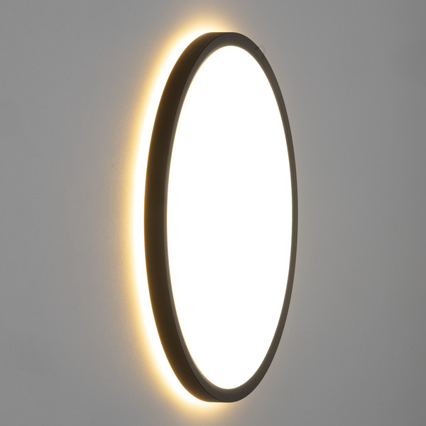 Изображение товара Потолочный светильник Citilux Norma CL749321 (черный)