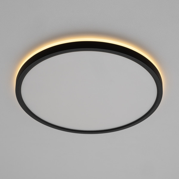 Изображение товара Потолочный светильник Citilux Norma CL749321 (черный)