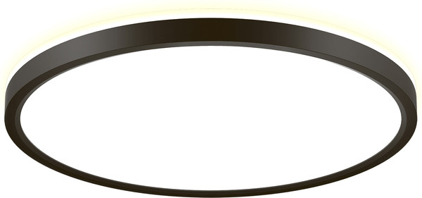 Изображение товара Потолочный светильник Citilux Norma CL749321 (черный)