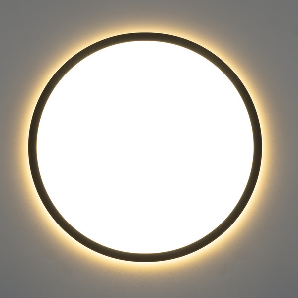 Изображение товара Потолочный светильник Citilux Norma CL749321 (черный)