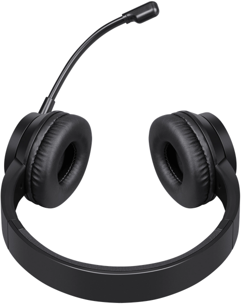 Изображение товара Наушники-гарнитура Defender Tune 150 / 63151 (черный)