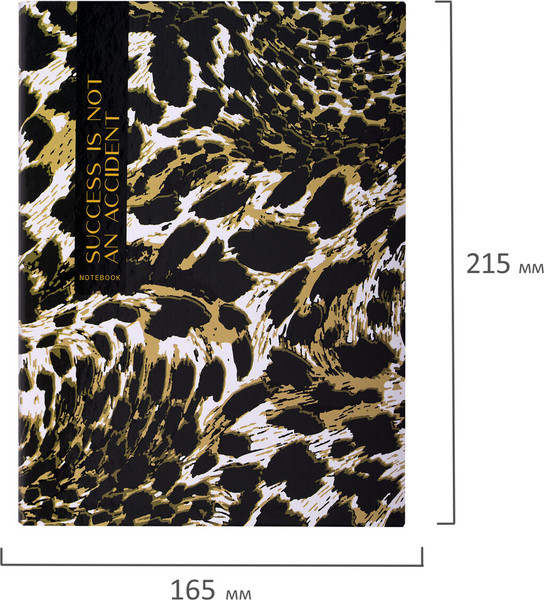 Изображение товара Тетрадь Brauberg 404712 (120л, клетка)