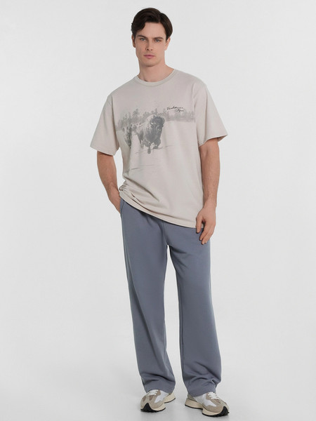 Изображение товара Штаны Mark Formelle 181246 (р.98-182/188, сизый)