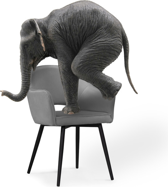 Изображение товара Стул Woodville Ойстер (MR-11/черный)