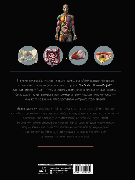 Изображение товара Энциклопедия АСТ Анатографика. Атлас человеческого тела, твердая обложка (Уолкер Ричард)