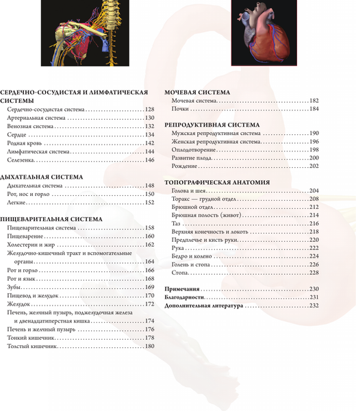 Изображение товара Энциклопедия АСТ Анатографика. Атлас человеческого тела, твердая обложка (Уолкер Ричард)