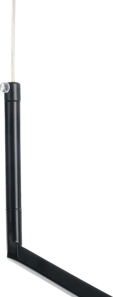 Изображение товара Потолочный светильник BayerLux Холли 10386075 (черный/золото)