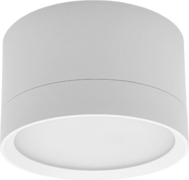 Изображение товара Точечный светильник Truenergy 21031