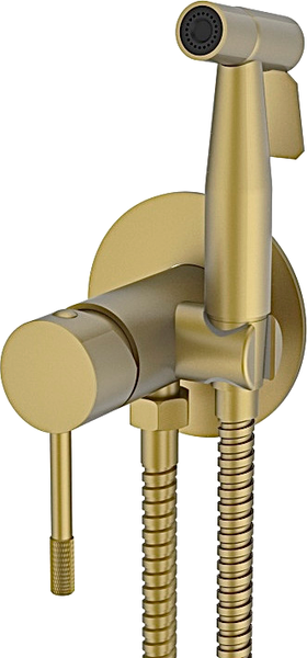 Изображение товара Гигиенический душ со смесителем Vieir V403553S