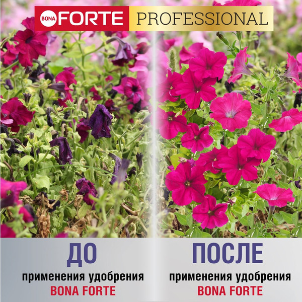 Изображение товара Удобрение Bona Forte Гранулир. пролонгир. д/петуний и бегоний с биодоступным кремнием (1л)