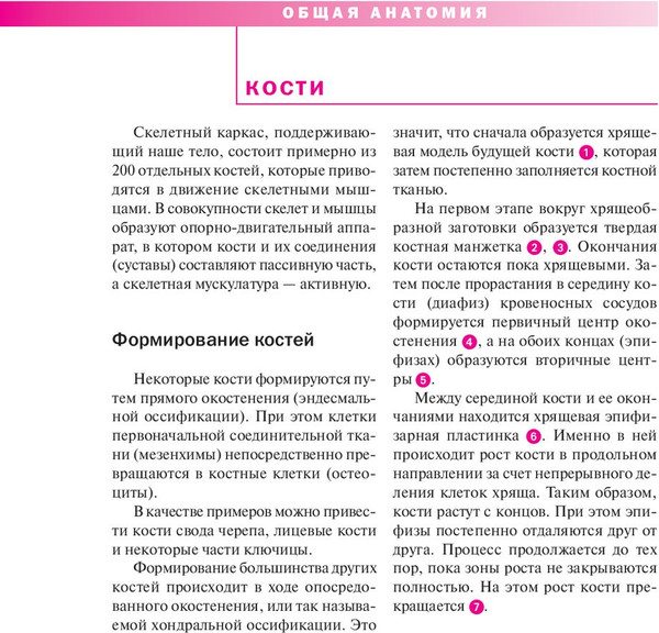 Изображение товара Книга Попурри Спортивная анатомия, мягкая обложка (Торстен Герке)