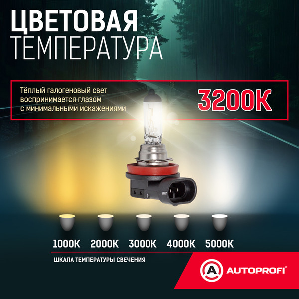 Изображение товара Автомобильная лампа Autoprofi STD-H11