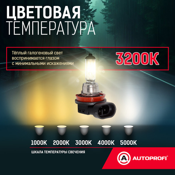 Изображение товара Автомобильная лампа Autoprofi STD-H8