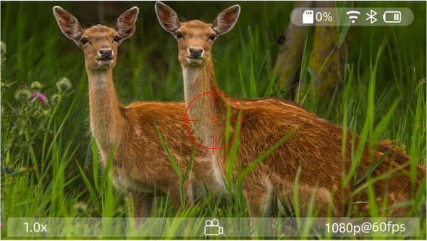 Изображение товара Оптический прицел Veber DigitalHunt R44x6-48 LRF (ночной)