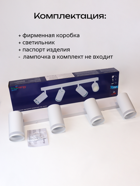 Изображение товара Спот Truenergy 21375