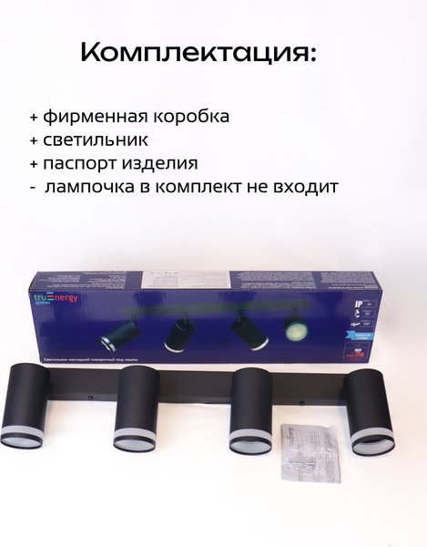 Изображение товара Спот Truenergy 21376