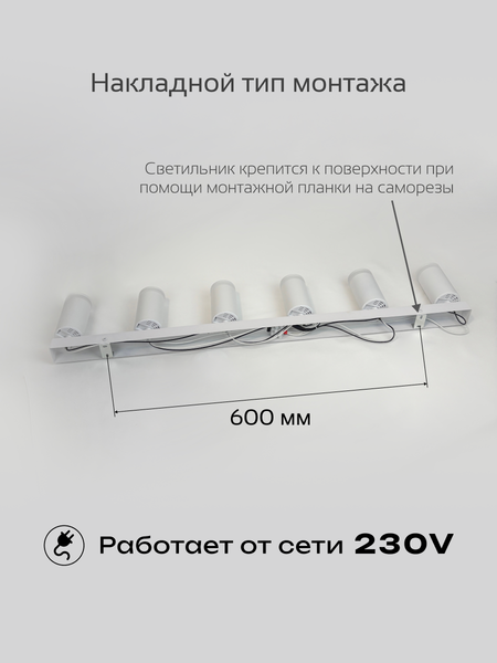 Изображение товара Спот Truenergy 21379