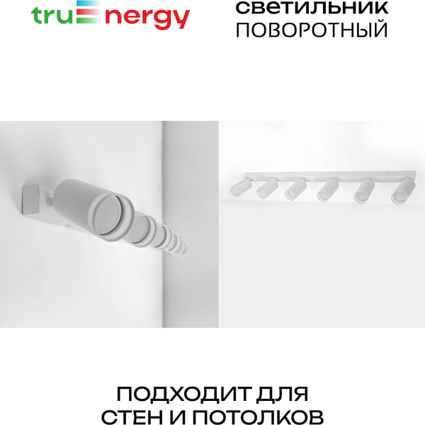 Изображение товара Спот Truenergy 21379