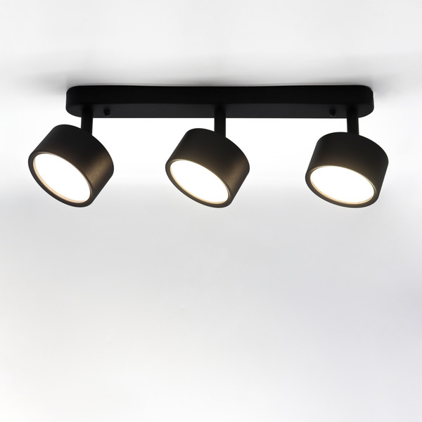 Изображение товара Спот Truenergy 21465