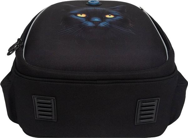 Изображение товара Школьный рюкзак Grizzly RAz-586-6 (черный)