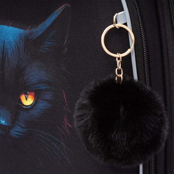 Изображение товара Школьный рюкзак Grizzly RAz-586-6 (черный)